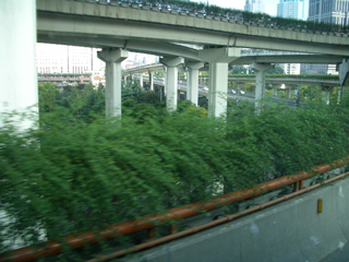 AutoChine